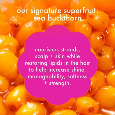 super-sized signature set normcore shampoo and conditioner + soulfood mask